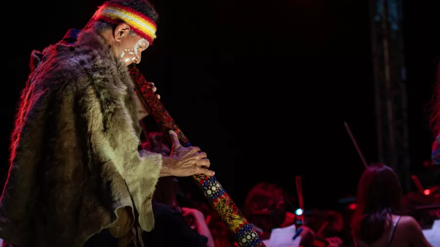 Rockingham Symphony on the Green_2022_4