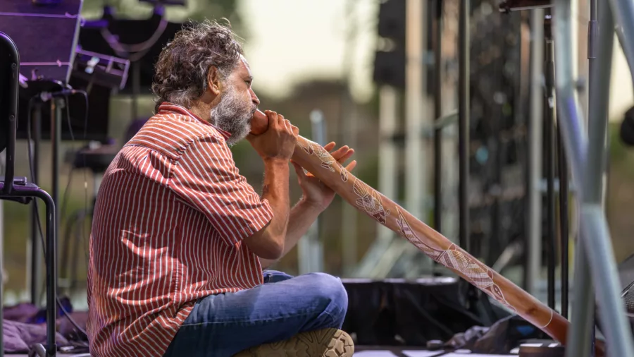 Wanneroo symphony under the stars 2022 5