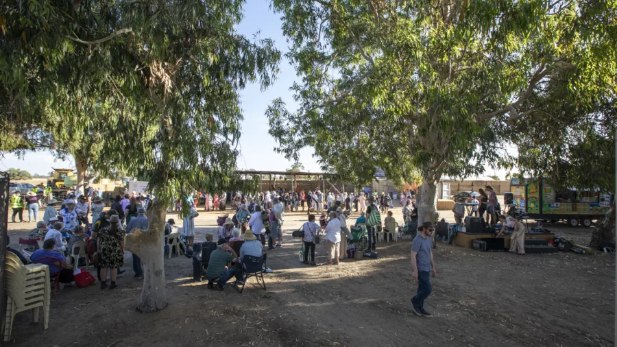 Narrogin Haybales_2023_21 A0706