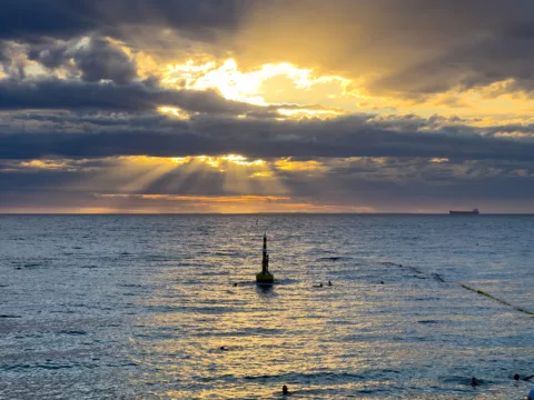 ScuIptures By The Sea_20203_MG 0141 photo 144