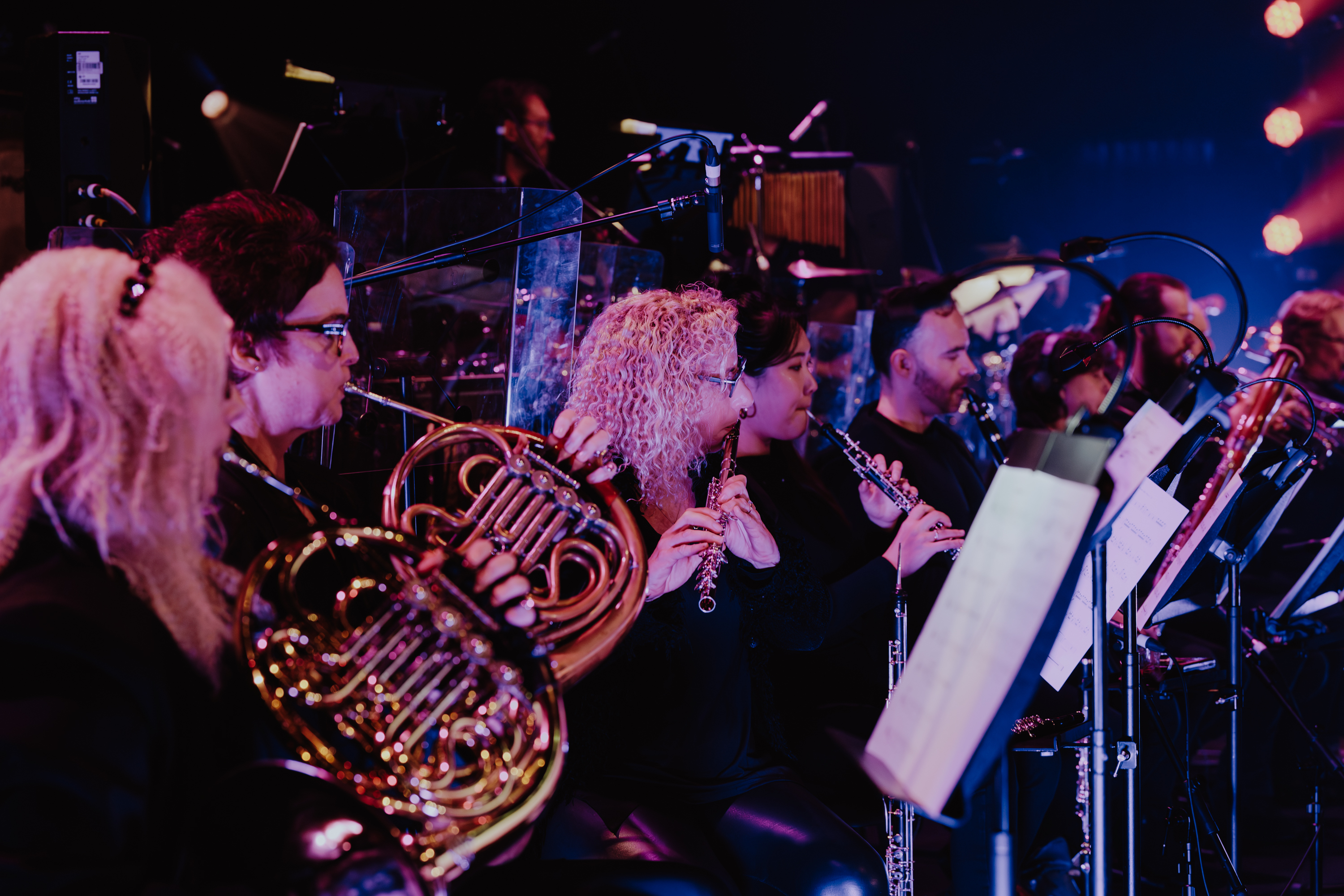 Perth Symphony Musicians