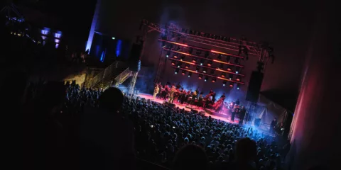 18 20260213 PERTH FEST Rebel Rebel Selects 1