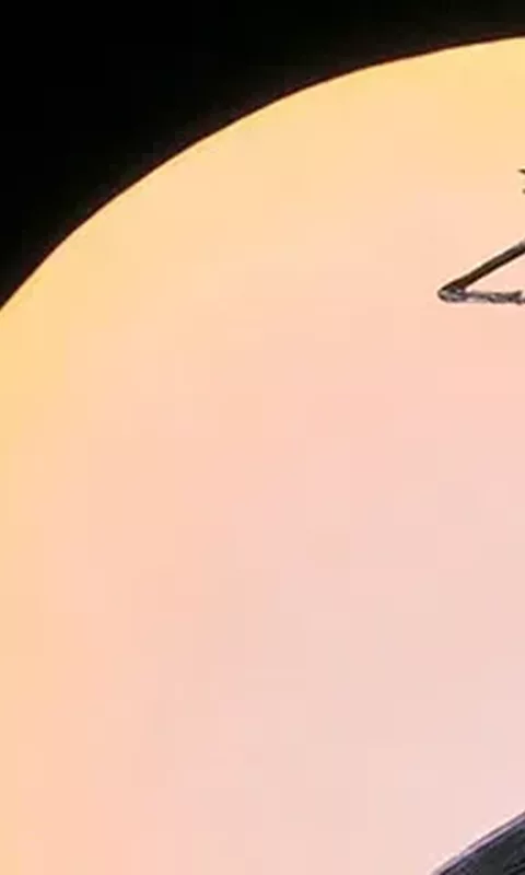 The N Ightmare Before Christmas Banner